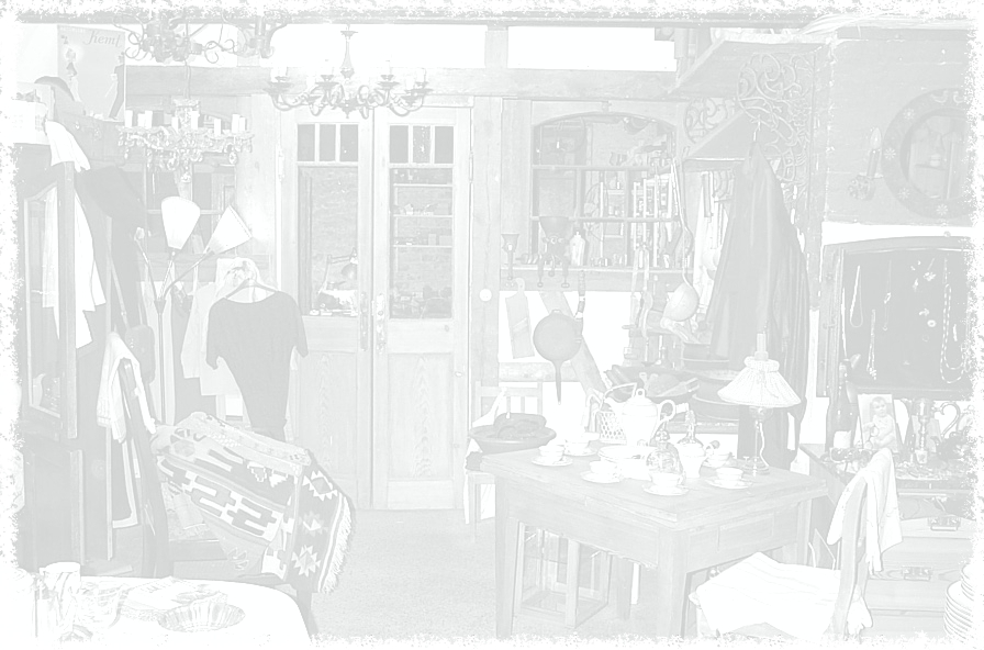 Antik Rheinsberg_Fotor_SW_Fotor1 Antik Rheinsberg_Fotor_SW_Fotor1