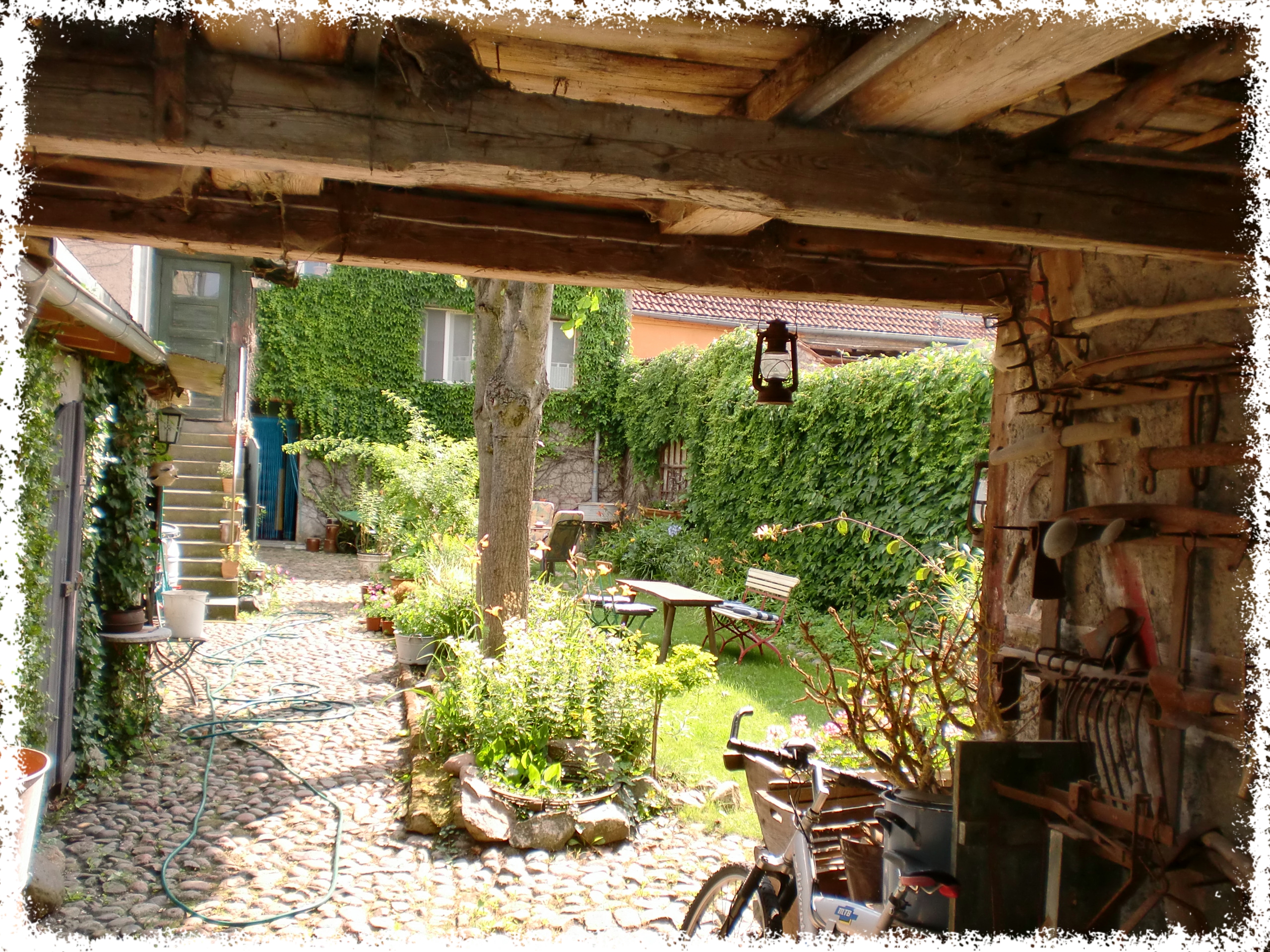 CIMG2598_Fotor CIMG2598_Fotor