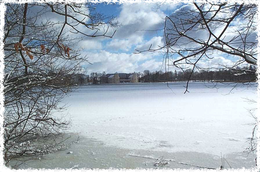 21_Fotor