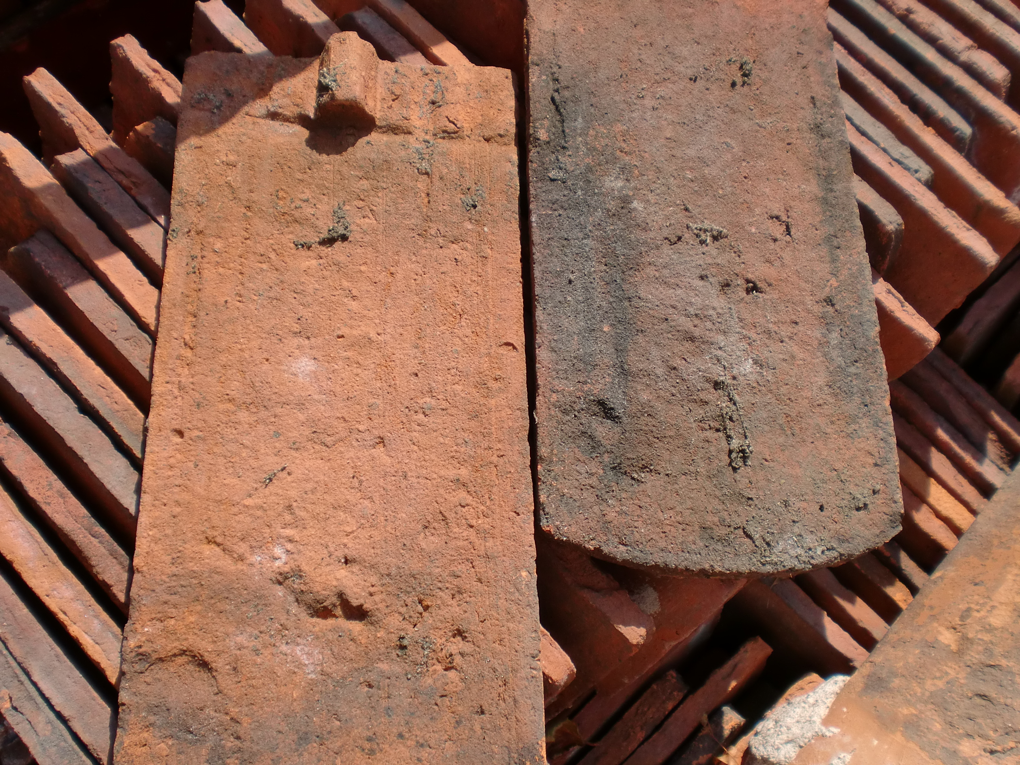 CIMG4626