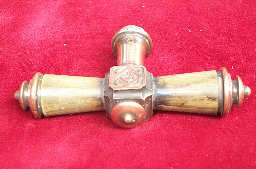 Oliven neu 023